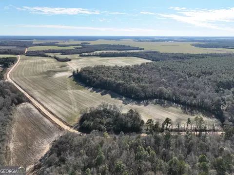0 Watson Rd #LOT WP001, Vienna, GA 31092