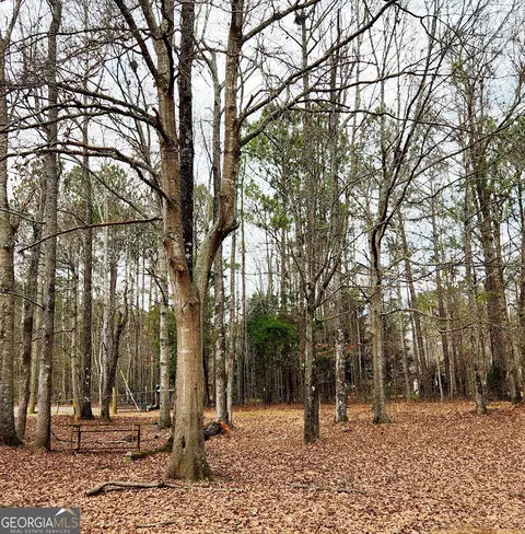 186 Maynards Mill Rd, Forsyth, GA 31029 photo 20