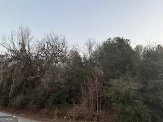 Hwy 96 Highway 96, Jeffersonville, GA 31044