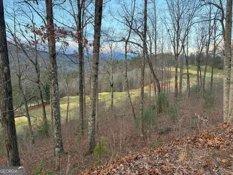 J35 Bent Grass, Clayton, GA 30525