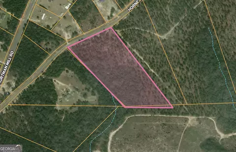 1 Horne Road #4.5 ACRES, Roberta, GA 31078