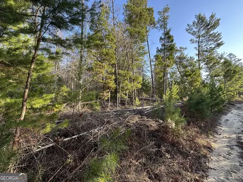 1 Horne Road #4.5 ACRES, Roberta, GA 31078