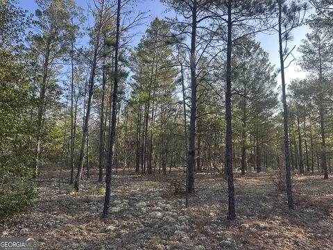 2 Horne Road #9 ACRES, Roberta, GA 31078