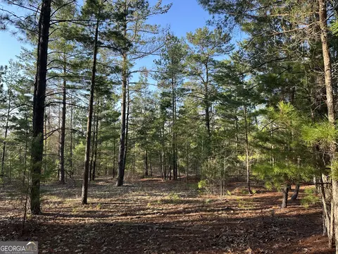3 Horne Road #8 ACRES, Roberta, GA 31078
