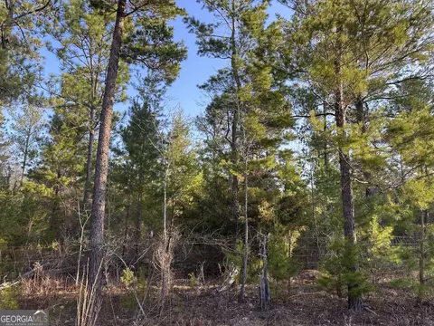 4 Horne Road #12.91 ACRES, Roberta, GA 31078