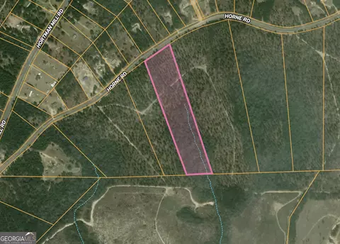4 Horne Road #12.91 ACRES, Roberta, GA 31078