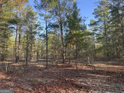 0 Horne Rd #38.41 ACRES, Roberta, GA 31078 photo 3