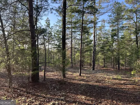0 Horne Rd #38.41 ACRES, Roberta, GA 31078 photo 7
