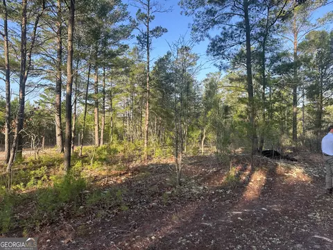 0 Horne Rd #38.41 ACRES, Roberta, GA 31078 photo 12