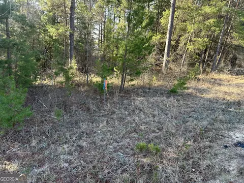 0 Horne Rd #38.41 ACRES, Roberta, GA 31078 photo 14