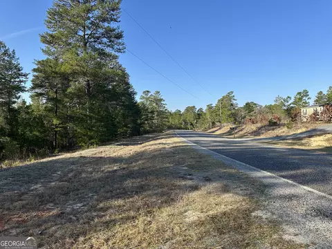 0 Horne Rd #38.41 ACRES, Roberta, GA 31078 photo 4