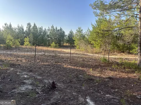0 Horne Rd #38.41 ACRES, Roberta, GA 31078
