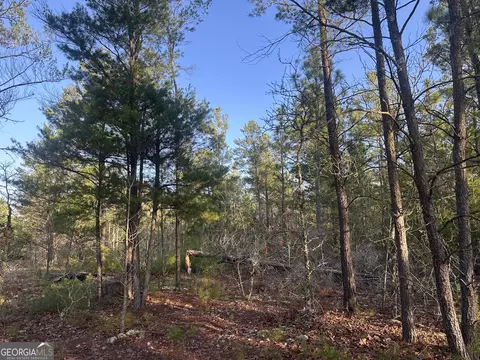0 Horne Rd #38.41 ACRES, Roberta, GA 31078 photo 13
