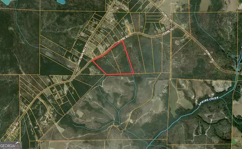 0 Horne Rd #38.41 ACRES, Roberta, GA 31078 photo 2