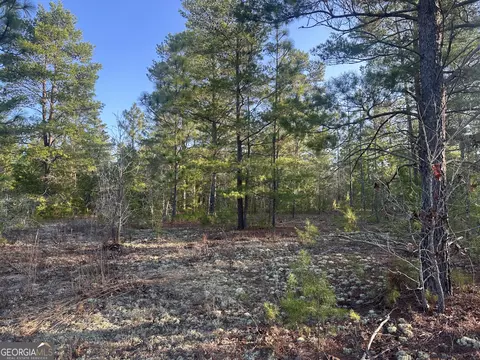 0 Horne Rd #38.41 ACRES, Roberta, GA 31078 photo 9