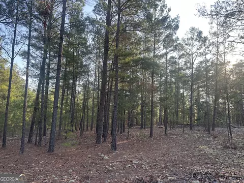 0 Horne Rd #38.41 ACRES, Roberta, GA 31078 photo 15