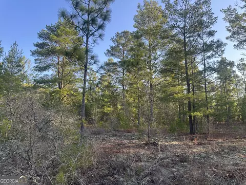 0 Horne Rd #38.41 ACRES, Roberta, GA 31078 photo 8