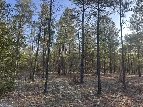 0 Horne Rd #38.41 ACRES, Roberta, GA 31078 photo 10