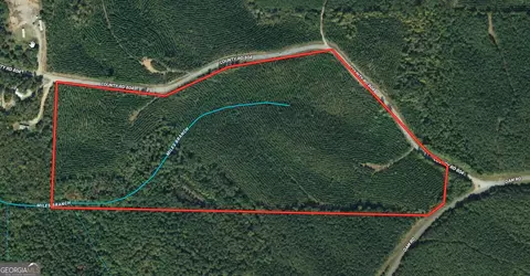 49 5 Ac County Road 804, Wedowee, AL 36278