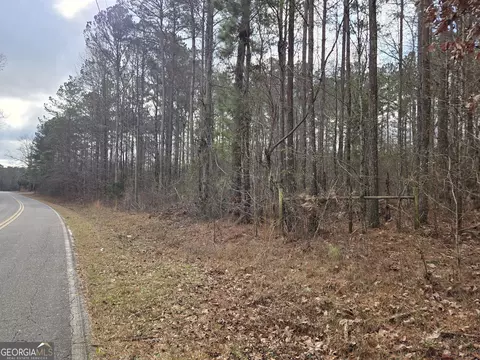 0 Ethridge Mill Rd, Milner, GA 30257 photo 3