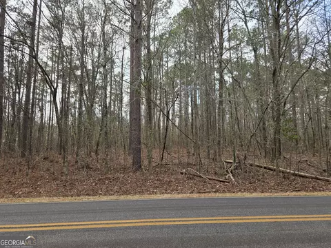 0 Ethridge Mill Rd, Milner, GA 30257 photo 2