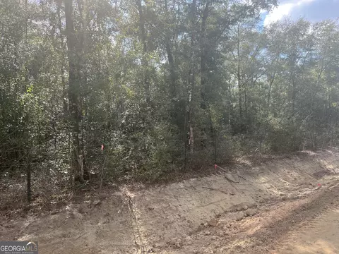 837 Bluff Rd, Jesup, GA 31545