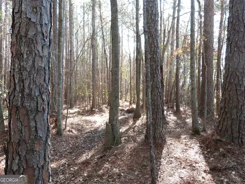 0 Highway 119 N, Ellabell, GA 31308