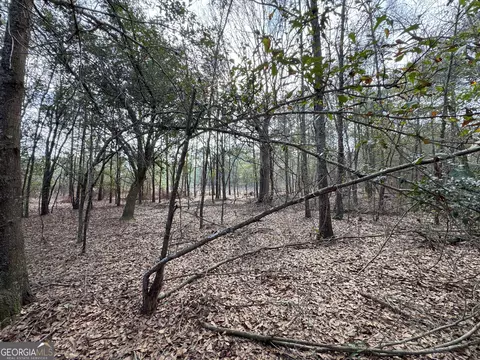 0 Whispering Pines Rd, Pelham, GA 31779