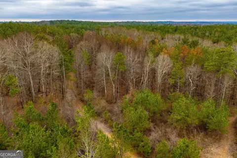0 Bremen Mt Zion Rd Tracts 2a2b, Waco, GA 30182