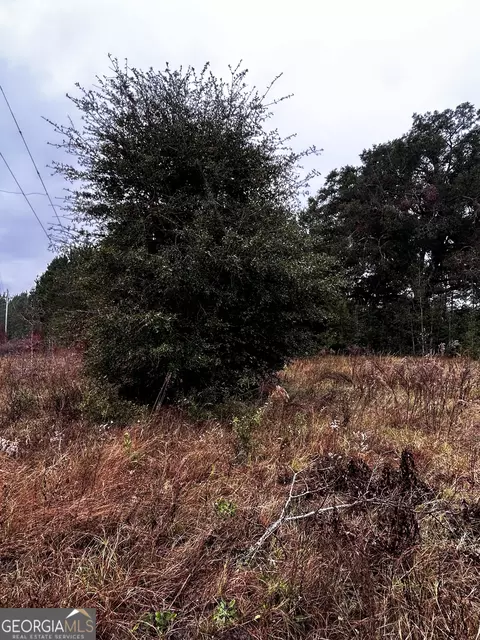 0 Burkhalter Rd, Statesboro, GA 30458