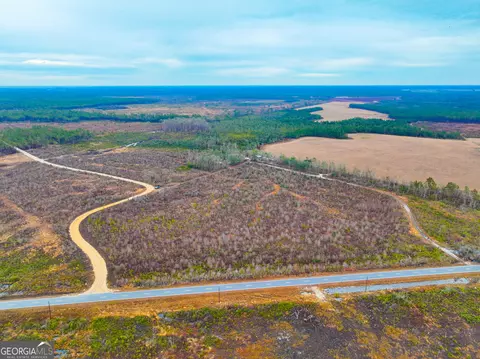 0 Fender Bay Rd #LOT WP001, Willacoochee, GA 31650