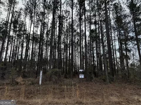 Parcel B-3 Southside Drive, Lyons, GA 30436