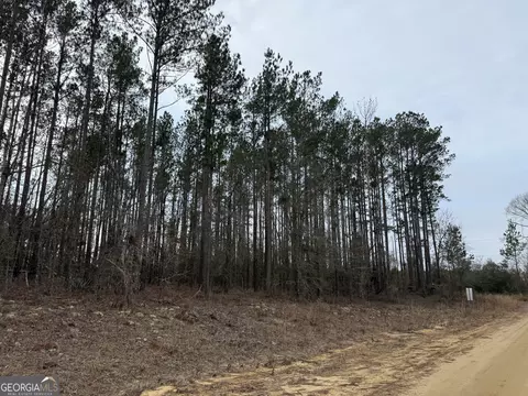 Parcel B-3 Southside Drive, Lyons, GA 30436 photo 2