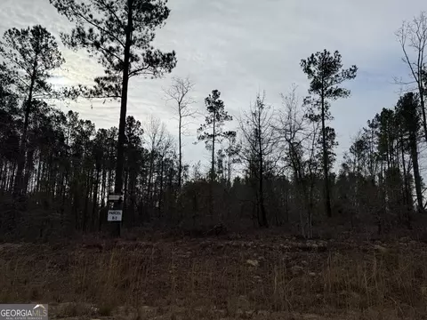 Parcel B-2 Southside Drive, Lyons, GA 30436