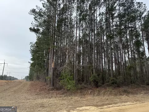 Parcel B-1 Southside Drive, Lyons, GA 30436 photo 2