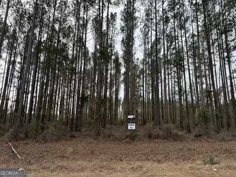 Parcel B-1 Southside Drive, Lyons, GA 30436