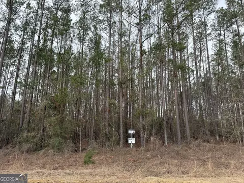 Parcel A-8 Southside Drive, Lyons, GA 30436