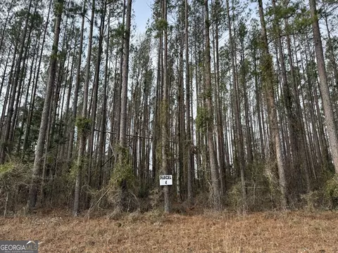 Parcel 4 Southside Drive, Lyons, GA 30436