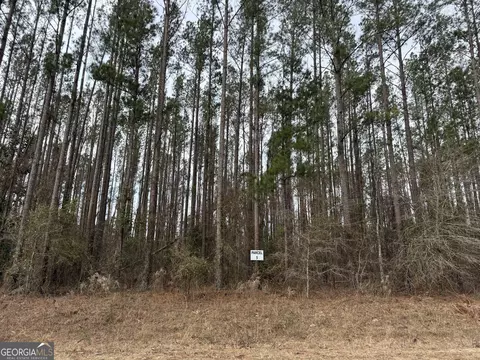 Parcel 5 Southside Drive, Lyons, GA 30436