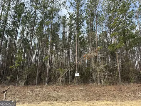 Parcel 7 Southside Drive, Lyons, GA 30436