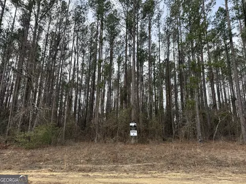 Parcel 6 Southside Drive, Lyons, GA 30436
