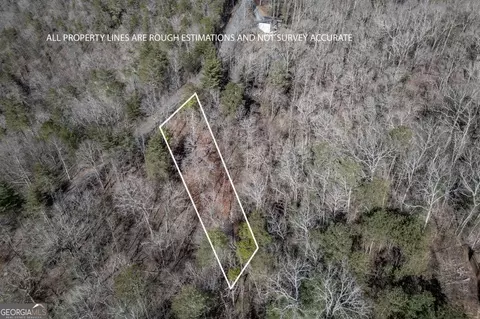 lot1636 Long Branch Dr #16361636A, Talking Rock, GA 30175