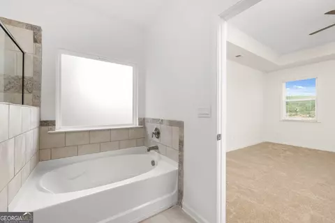 1724 Goodwin Dr #LOT 74, Hampton, GA 30228 photo 18