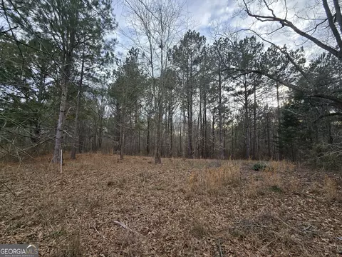 0 Willow St, Maxeys, GA 30671 photo 17