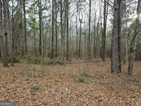 0 Willow St, Maxeys, GA 30671 photo 12