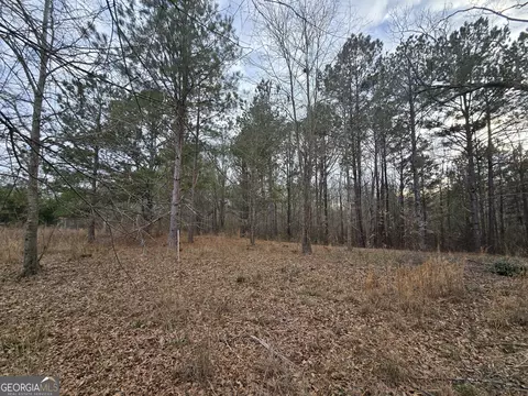 0 Willow St, Maxeys, GA 30671 photo 18