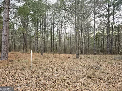 0 Willow St, Maxeys, GA 30671 photo 15