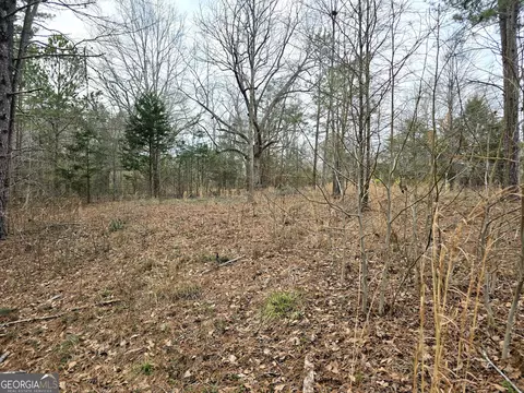 0 Willow St, Maxeys, GA 30671 photo 20