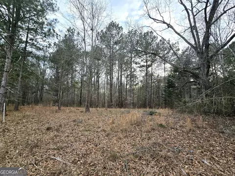 0 Willow St, Maxeys, GA 30671 photo 23