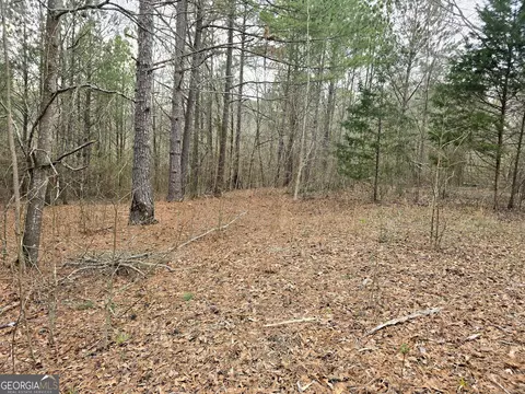 0 Willow St, Maxeys, GA 30671 photo 24